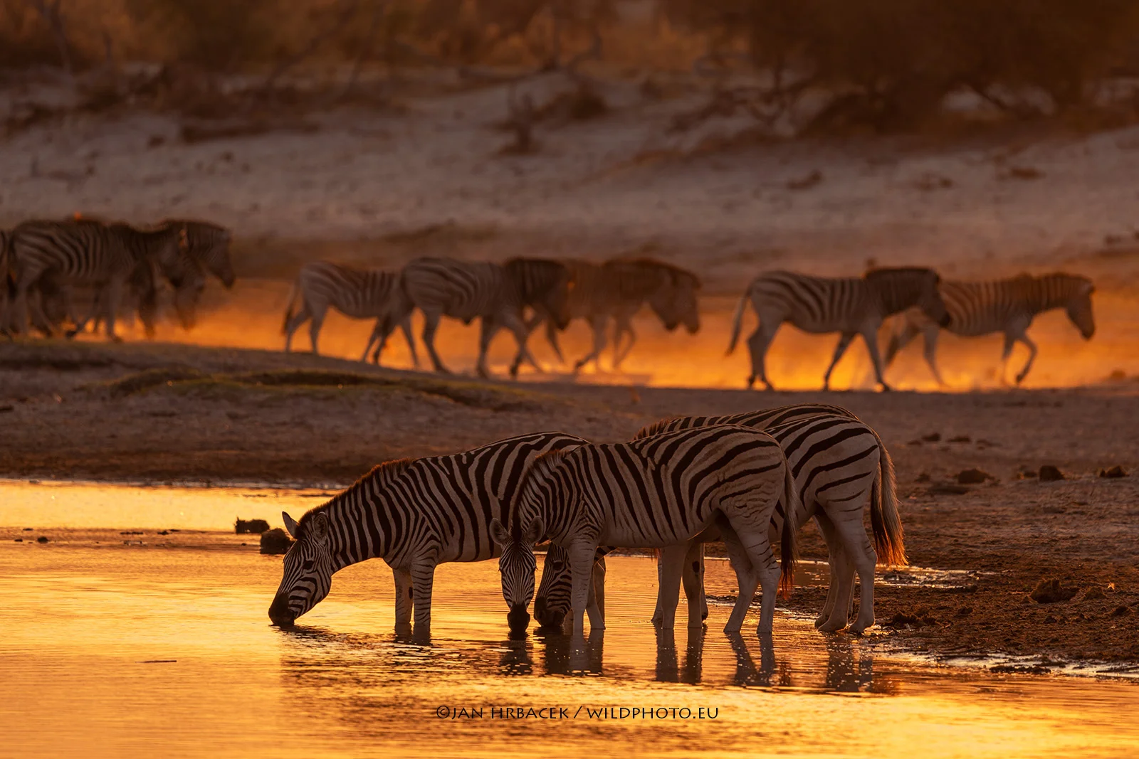 Makgadikgadi NP, Botswana